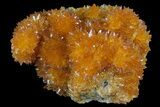 Intense Orange Calcite Crystals - Poland #80237-1